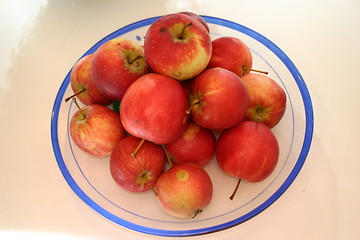 Image showing Apples on Dish