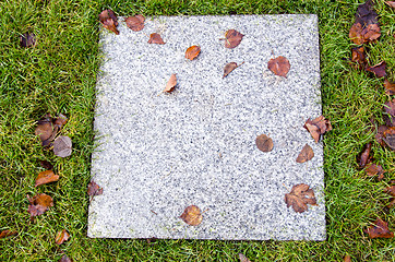 Image showing background of ancient marble tile lawn autumn leaf 