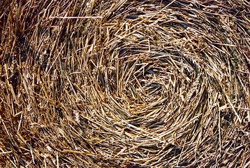 Image showing Close-up of straw bales 