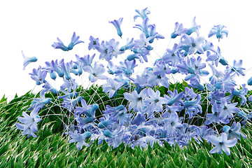 Image showing blue spring flowers decoration