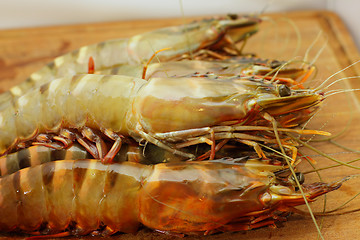 Image showing big fresh tiger prawns, king prawns, shrimp