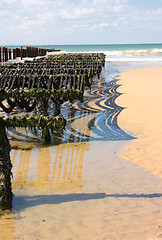 Image showing mussel farming on the coast of opal in the north of France