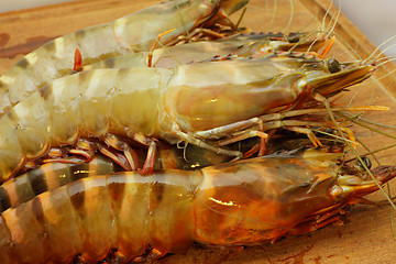 Image showing big fresh tiger prawns, king prawns, shrimp