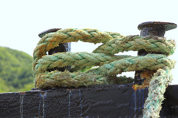 Image showing Rope for mooring a boat to a pier