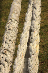 Image showing Rope for mooring a boat to a pier