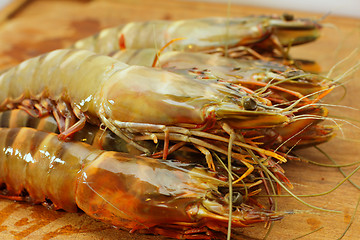 Image showing big fresh tiger prawns, king prawns, shrimp