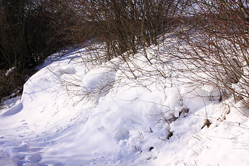 Image showing campaign under the sun and winter snow