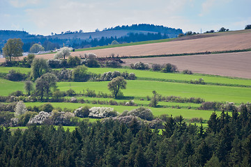 Image showing green field