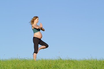 Image showing pregnant woman on meadow