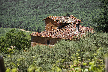 Image showing Typical Tuscan landscape