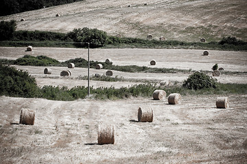 Image showing Typical Tuscan landscape