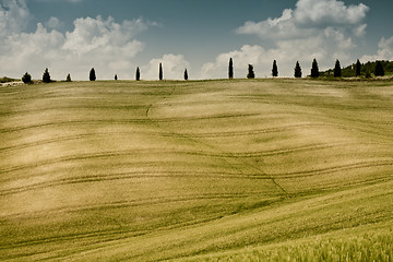 Image showing Typical Tuscan landscape