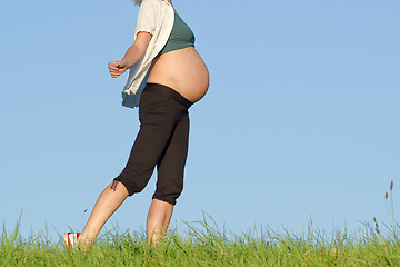 Image showing pregnant woman on meadow