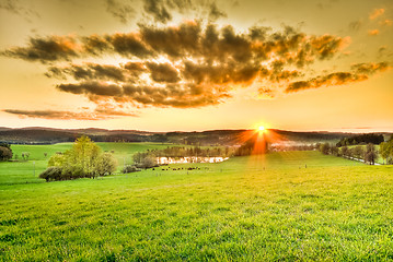 Image showing beautiful meadow during sunset