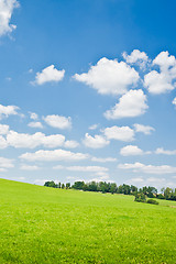 Image showing agriculture landscape