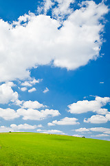 Image showing agriculture landscape