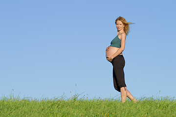 Image showing pregnant woman on meadow