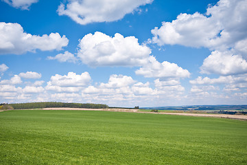 Image showing green field