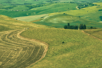 Image showing Typical Tuscan landscape