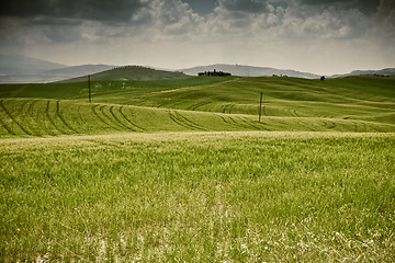 Image showing Typical Tuscan landscape