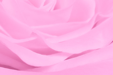 Image showing pink rose close up