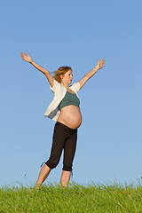 Image showing pregnant woman on meadow