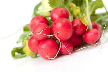 Image showing Radish with leaf