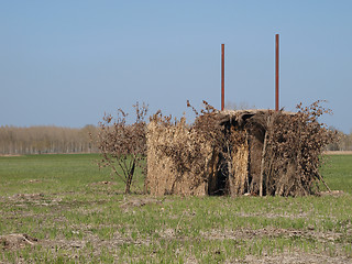 Image showing Duck hunt shelter