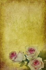 Image showing roses on old paper