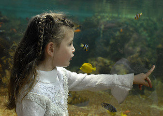 Image showing little girl and aquarium
