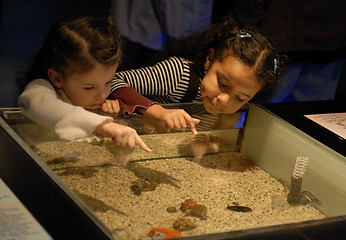 Image showing sisters in a museum