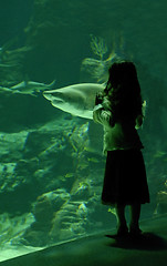 Image showing little girl and shark