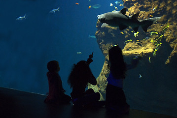 Image showing children and shark