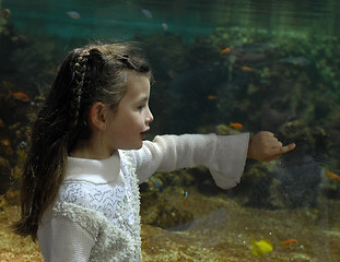 Image showing little girl and aquarium