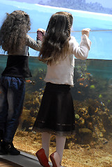 Image showing two sisters and big aquarium
