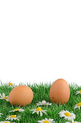 Image showing Two eggs with artificial grass