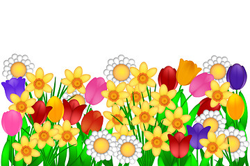 Image showing Spring Flowers Illustration