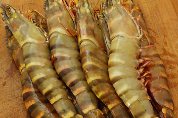 Image showing big fresh tiger prawns, king prawns, shrimp