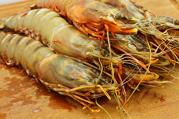 Image showing big fresh tiger prawns, king prawns, shrimp