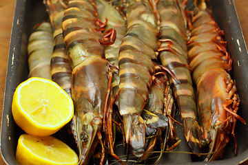 Image showing big fresh tiger prawns, king prawns, shrimp