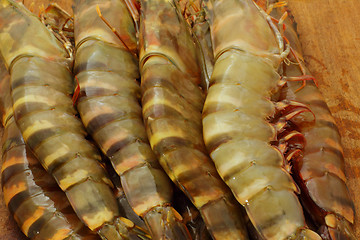 Image showing big fresh tiger prawns, king prawns, shrimp