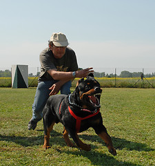 Image showing rottweiler in attack