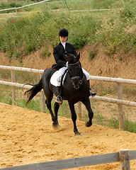 Image showing horse and woman in dressage