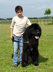 Image showing little girl and big dog