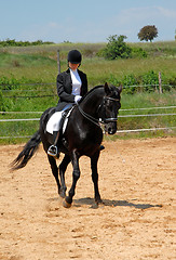 Image showing horse and woman in dressage