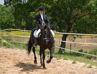 Image showing horse and woman in dressage