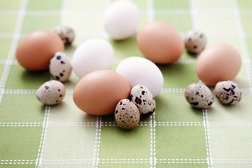 Image showing eggs