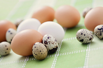 Image showing eggs