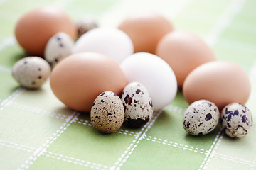 Image showing eggs