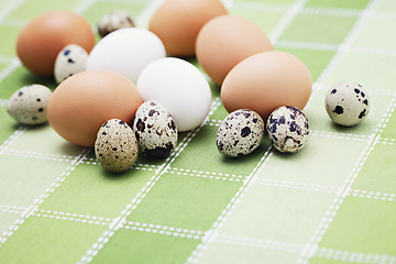 Image showing eggs